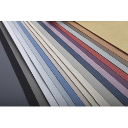 Feuille Ingres  Clairefontaine  50x65   130g