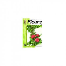Livre 20 fleurs à l'aquarelle