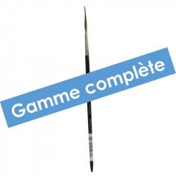 Gamme complète Pinceau Martre Kolinsky extra-long Raphael - Série 88026