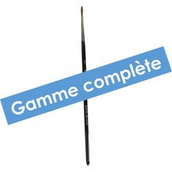 Gamme complète Pinceau Martre Kolinsky Longue Fine Raphael - Série 8413