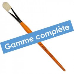 Gamme complète Pinceau brosse soie usé - Série 340U