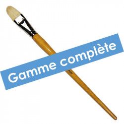 Gamme complète Pinceau brosse soie usé - Série 440U