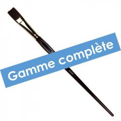 Gamme complète Pinceau brosse synthétique plat - Série 830P