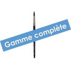 Gamme complète Pinceau aquarelle - Série 400