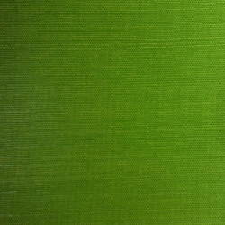 Papier simili-cuir Kashmir vert anis