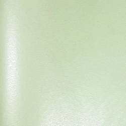 Papier simili-cuir Ostra blanc