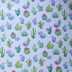 Cactus colorés