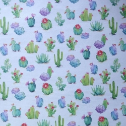 Cactus colorés