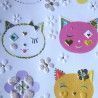 chats