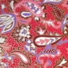 fleurs fond rouge