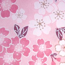 fleurs de cerisiers