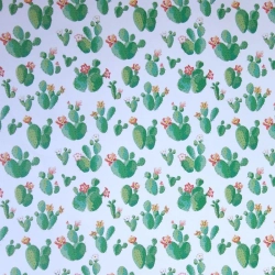 Cactus verts