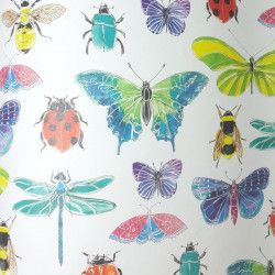 Insectes volants