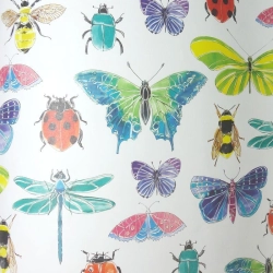 Insectes volants