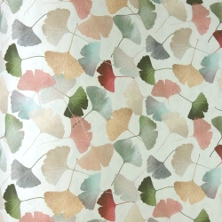 Ginkgo