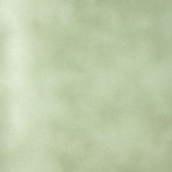 Papiers simili-cuir Pony gris clair