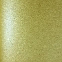 Peau d'éléphant brun clair 50x70 110g 