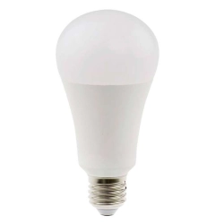 Ampoule daylight à économie d'énergie LED 19W