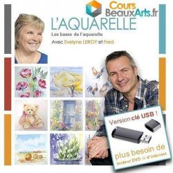 Les Bases de l'Aquarelle sur clef USB