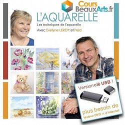 Les techniques de l'aquarelle  sur clef USB