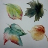 Les techniques de l'aquarelle  sur clef USB
