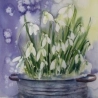 Les fleurs à l'aquarelle sur clef USB