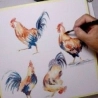 Mises en application à l'aquarelle Vol.1 sur clef USB