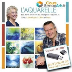 Les bons procédés du voyage de l'eau Vol.1 sur clef USB