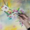 Les Jeux de l'aquarelle Vol.3 sur clef USB