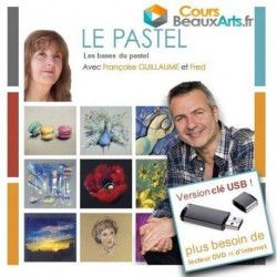 Les Bases du pastel sur Clé USB