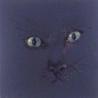 Portraits et animaux au pastel sur Clé USB