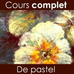 Cours complet Les Bases du Pastel sur clef USB