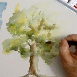 Toute l'Aquarelle