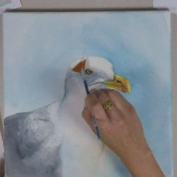 Peindre une mouette à l'huile