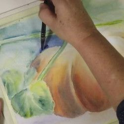 Une citrouille à l'Aquarelle