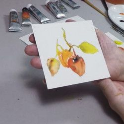 Maîtriser le papier pour Aquarelle