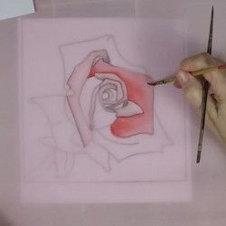 Nature morte en peinture sur soie : Une rose en aquarelle sur antifusant