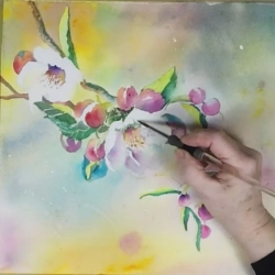 Fleurs de pommier à l'Aquarelle