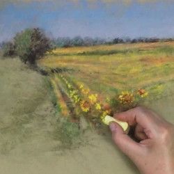 Travailler avec une boîte de pastel Un champ de tournesols sennelier