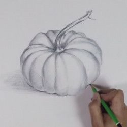 Dessin d'observation : une courge