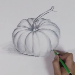 Dessin d'observation : une courge