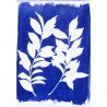 Cyanotype set de 2 flacons - Jacquard