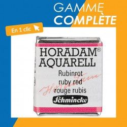 Gamme complète Aquarelle extra-fine Horadam - 1/2 godet - Schmincke