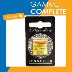 Gamme complète Aquarelle extra-fine au Miel 1/2 godet - Sennelier