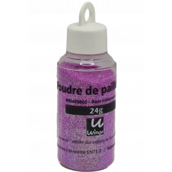 Paillettes en poudre iridescente 24g - Wingo