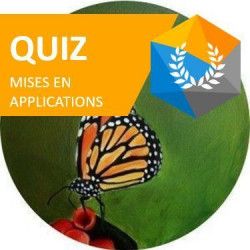 Quiz Mises en application à l'acrylique