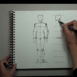 Les proportions du corps humain en Dessin