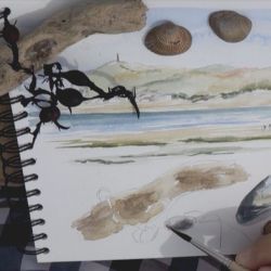 Carnet de voyage : Coquillage sur la plage à l'aquarelle