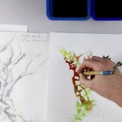 Texture de l'arbre à l'aquarelle, Episode 1 : Les étapes