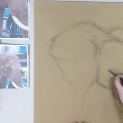 Un éléphant au pastel Séquence 01